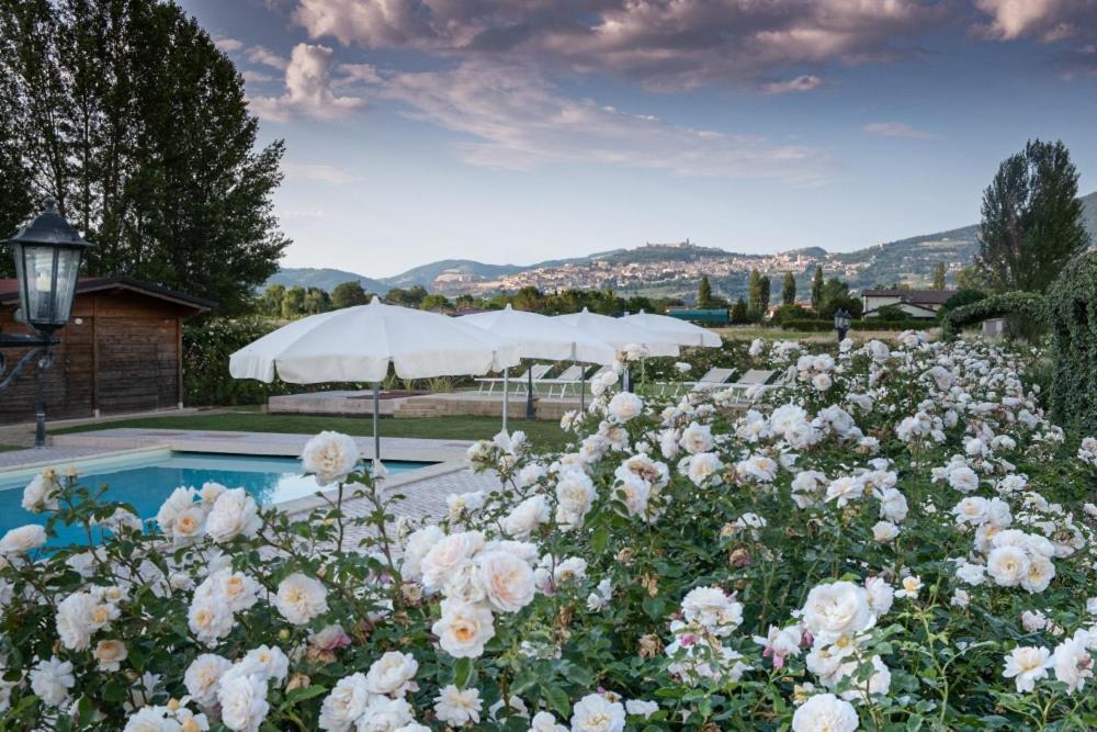 Il Fienile Di Assisi Villa Kültér fotó