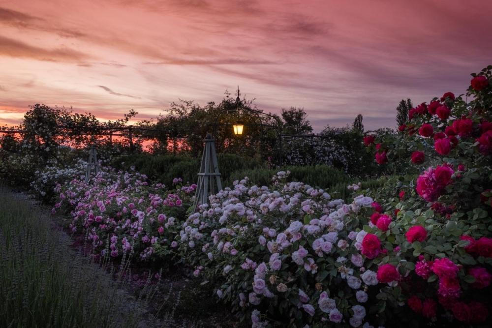 Il Fienile Di Assisi Villa Kültér fotó