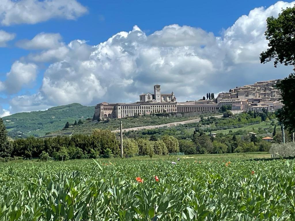 Il Fienile Di Assisi Villa Kültér fotó