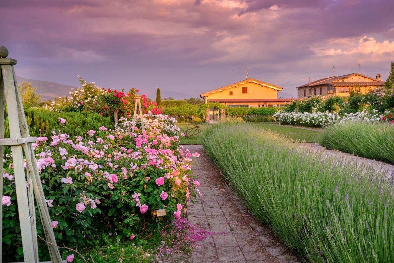 Il Fienile Di Assisi Villa Kültér fotó