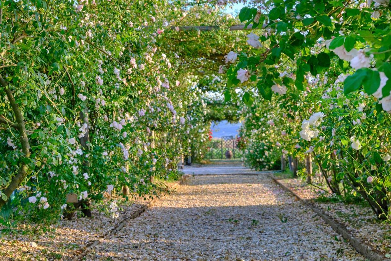 Il Fienile Di Assisi Villa Kültér fotó
