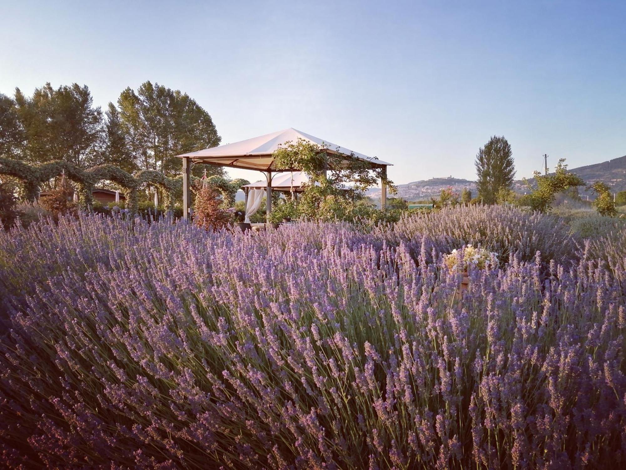 Il Fienile Di Assisi Villa Kültér fotó