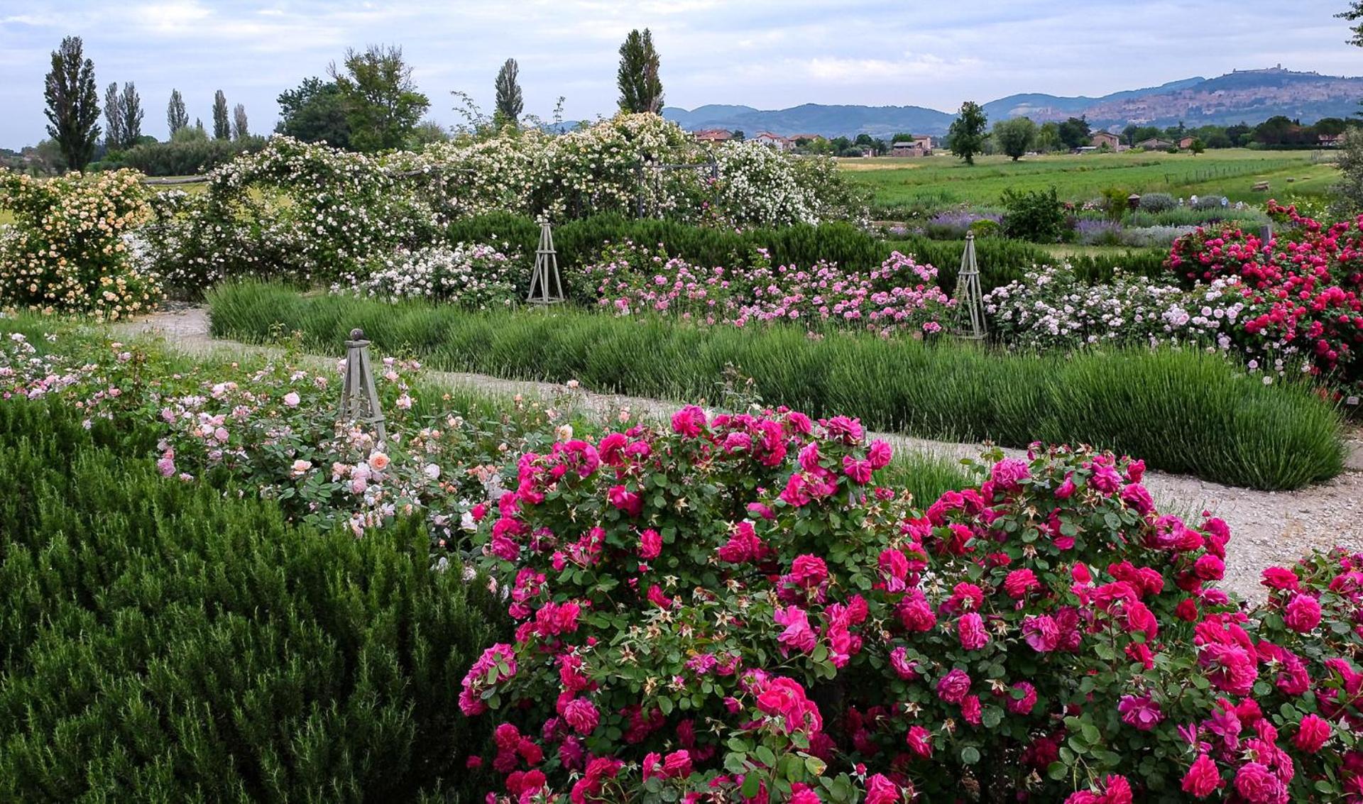 Il Fienile Di Assisi Villa Kültér fotó