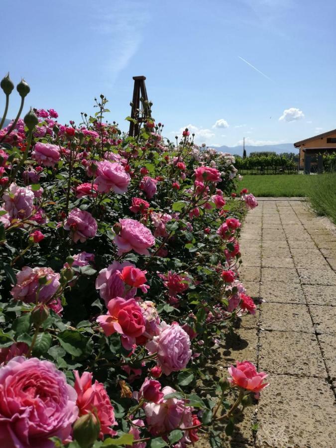 Il Fienile Di Assisi Villa Kültér fotó
